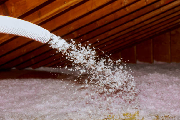 Best DIY Insulation Kits and Guidance in Woodward, IA