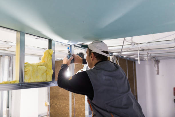 Best Insulation for Specific Applications in Woodward, IA