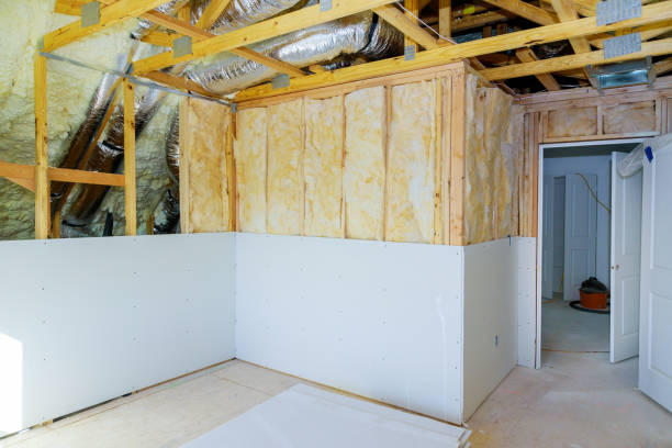 Best Cellulose Insulation in Woodward, IA