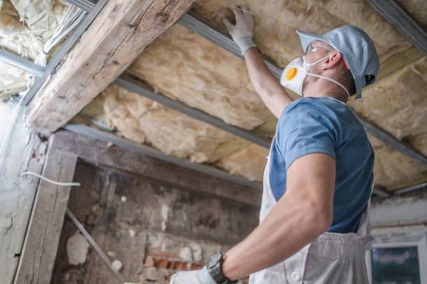 Best Specialized Insulation Services in Woodward, IA