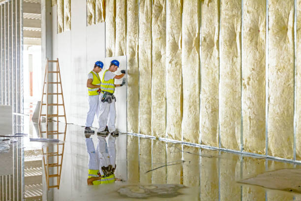 Best Spray Foam Insulation in Woodward, IA